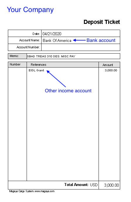 Account EIDL Grant accounting record